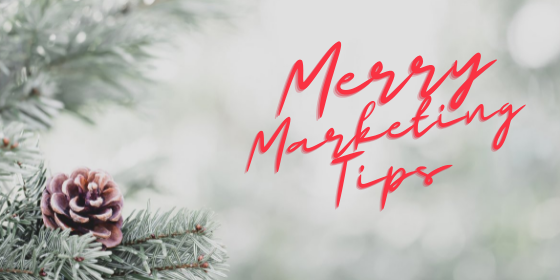 PHoto of snow and pine cone with words Merry Marketing Tips