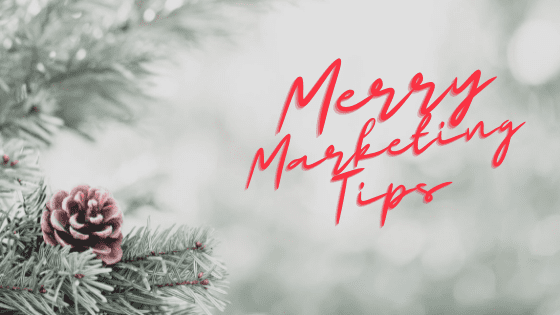 PHoto of snow and pine cone with words Merry Marketing Tips